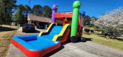 20230315 113218 1679510322 Ninja Bounce House with Slide (Wet/Dry)