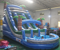 received 604041104867675 1695214953 20 Ft Tropical Dual Lane Water Slide