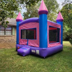 20231006 141100 1697589447 Princess Castle Bounce House