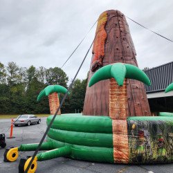 20231012 175619 1697591352 Rock Climb Inflatable Bounce House