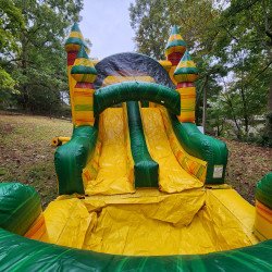 20231013 144856 1697591824 Fire Fiesta Bounce House With Slide And Pool