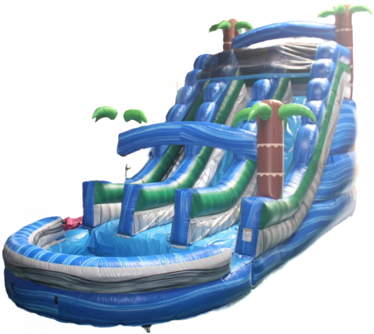 20 Ft Tropical Dual Lane Water Slide