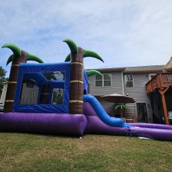 20240527 133120 1716842491 Enchanted Forest Bounce House With Slide